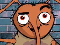 bedbug_featured